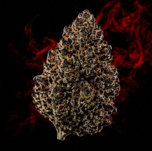Crimson Kush